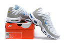 Air Max Plus Tn 1 “Ice Metalic”